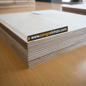 Sàn gỗ kỹ thuật cốt Plywood